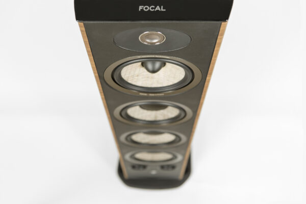 focal-03