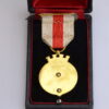 Medalla - in hoc signo salus - cruz roja - Image 3
