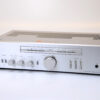 sonyta2421-1.jpg