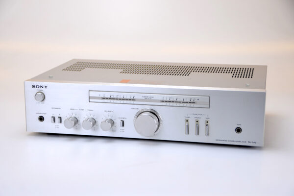 sonyta2421-1.jpg